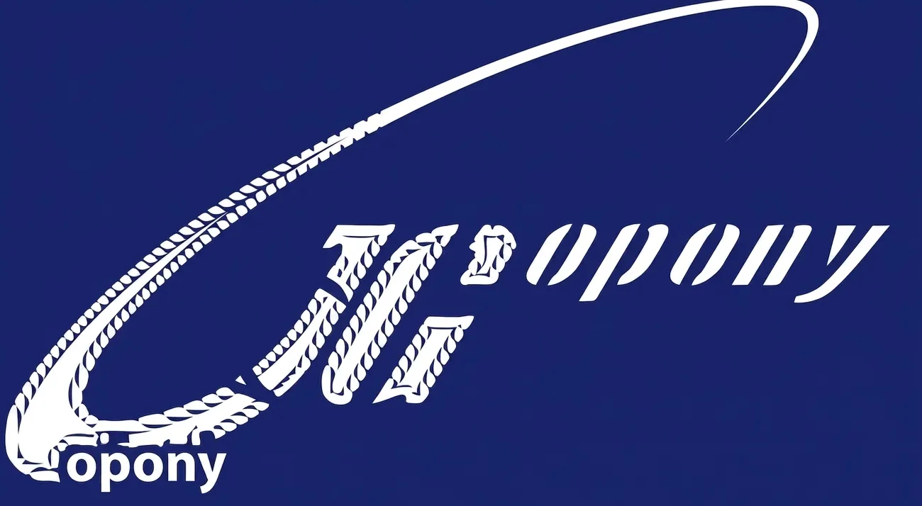 JGOPONY — оптовий продавець вживаних шин, Польща